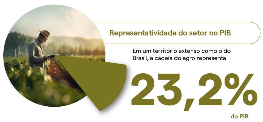 Representatividade do Agronegócio no PIB 2024