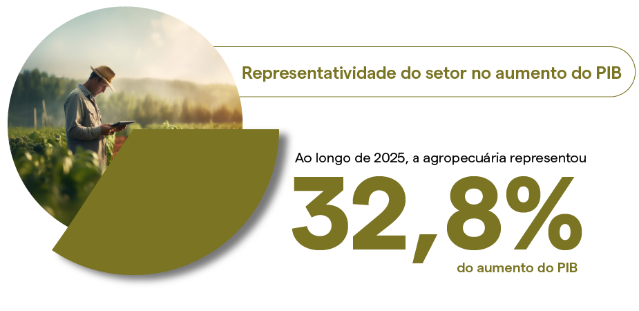 representatividade-do-agro-2025-pib